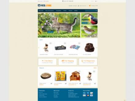 Absolute Web Solutions Absolute Web Solutions