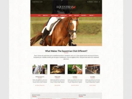 Absolute Web Solutions Absolute Web Solutions