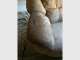 Advanced Upholstery Cleaning & Protection Advanced Upholstery Cleaning & Protection
