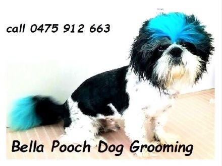Bella Pooch Dog Grooming