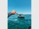 Boat Licence Queensland Boat Licence Queensland