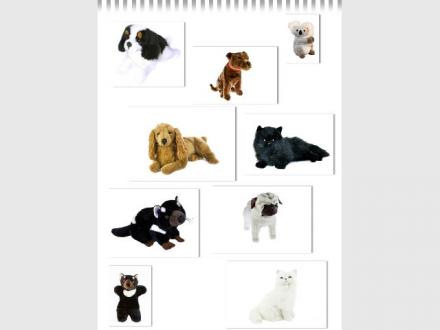 Bocchetta Plush Toys