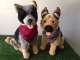 Bocchetta Plush Toys