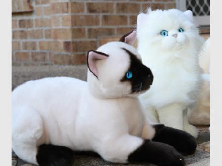 Bocchetta Plush Toys