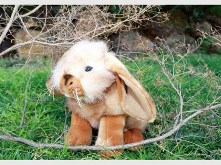 Bocchetta Plush Toys