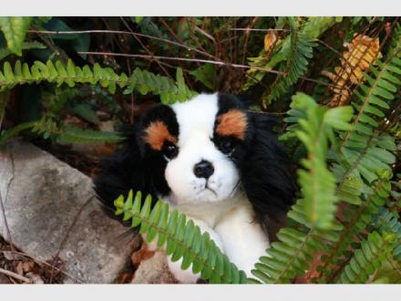 Bocchetta Plush Toys