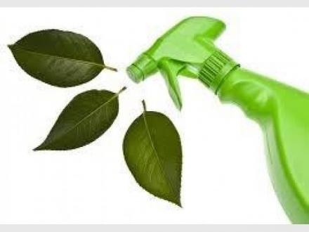 Brilliant Green Cleaning