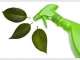 Brilliant Green Cleaning