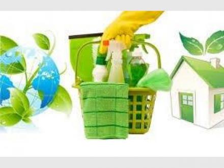 Brilliant Green Cleaning