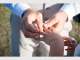 Budget Wedding Packages or Elopement Packages | We make it beautiful