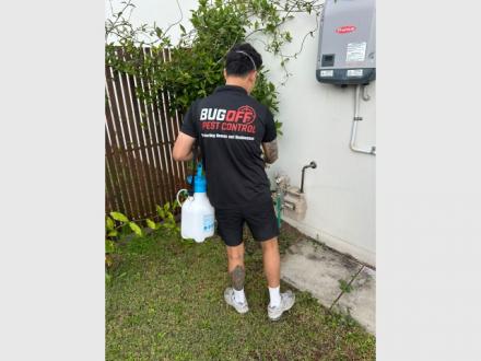 BugOff Pest Control BugOff Pest Control