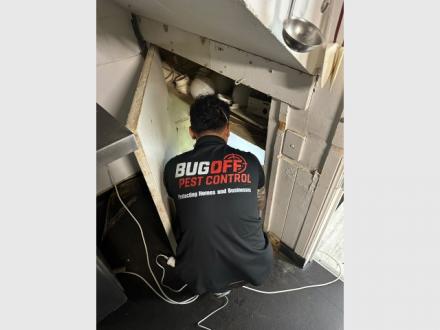 BugOff Pest Control BugOff Pest Control