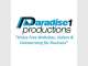 Business & Ecommerce Websites - Paradise1Productions