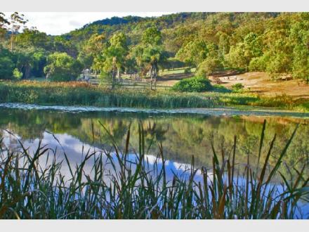 Cedar Creek Lodges