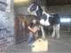 Celest Marketing Celest Marketing