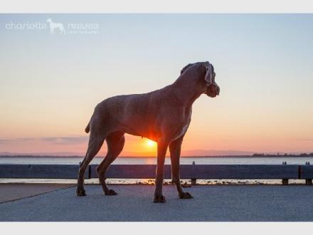 Charlotte Reeves Photography Charlotte Reeves Photography