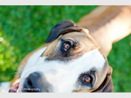 Charlotte Reeves Photography Charlotte Reeves Photography