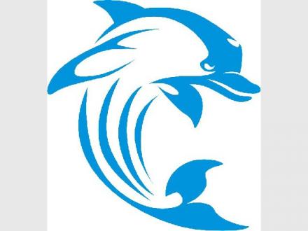 Cools Swim School