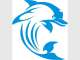 Cools Swim School