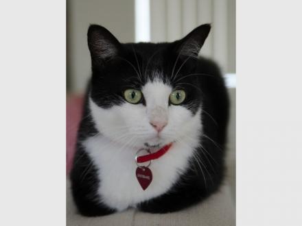 Coomera Pet Care Coomera Pet Care