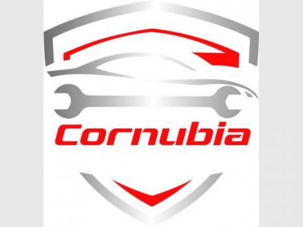 Cornubia Auto Care