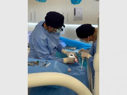 Dr Ash Prosthodontist Dr Ash Prosthodontist
