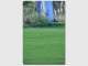 East Coast Turf Renovations Pty Ltd East Coast Turf Renovations Pty Ltd
