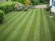 East Coast Turf Renovations Pty Ltd East Coast Turf Renovations Pty Ltd