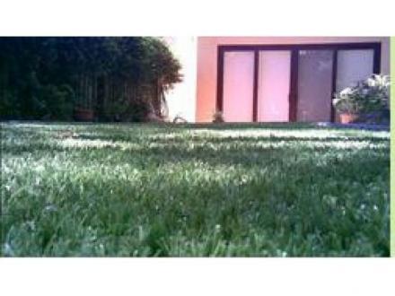 East Coast Turf - Synthetic Turf East Coast Turf - Synthetic Turf