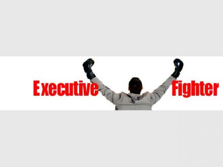 Executive Fighter Executive Fighter