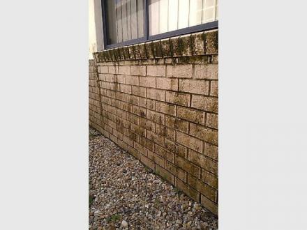 Express Exterior Cleaning