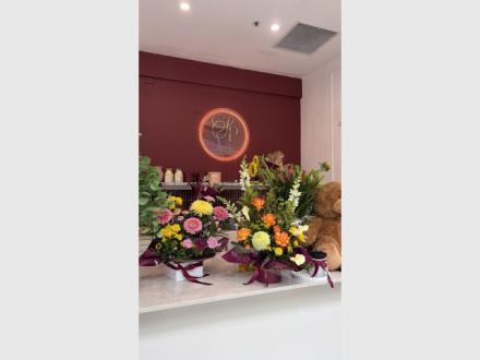 Flowers of Surfers Paradise Flowers of Surfers Paradise