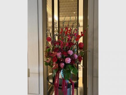 Flowers of Surfers Paradise Flowers of Surfers Paradise