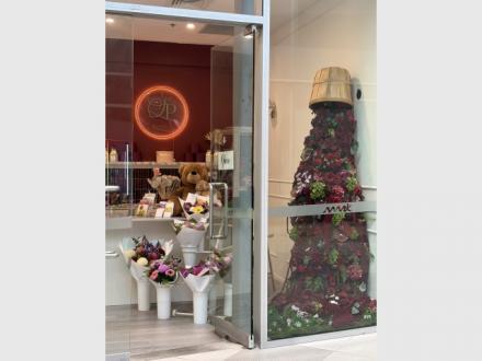 Flowers of Surfers Paradise Flowers of Surfers Paradise