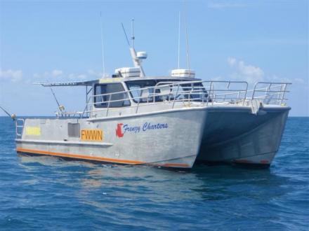 Frenzy Charters Frenzy Charters