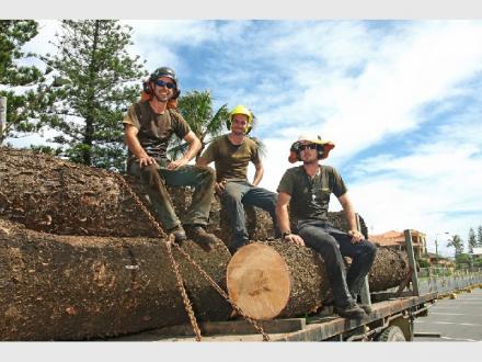 Frontier Tree Services