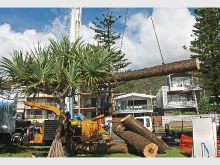 Frontier Tree Services
