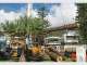 Frontier Tree Services