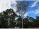 Frontier Tree Services