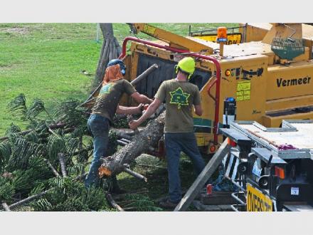 Frontier Tree Services
