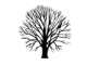 Ghost Tree Media