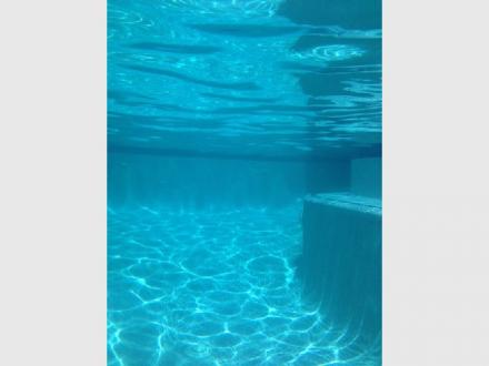Gizmo's Pool Care Gizmo's Pool Care