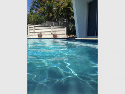 Gizmo's Pool Care Gizmo's Pool Care