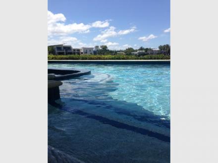Gizmo's Pool Care Gizmo's Pool Care