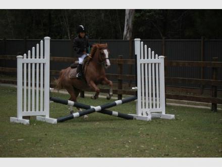 Gold Coast Equestrian Centre Gold Coast Equestrian Centre