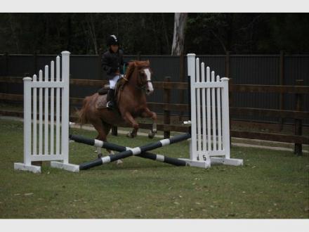 Gold Coast Equestrian Centre