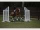 Gold Coast Equestrian Centre