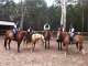 Gold Coast Equestrian Centre Gold Coast Equestrian Centre