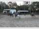 Gold Coast Equestrian Centre Gold Coast Equestrian Centre