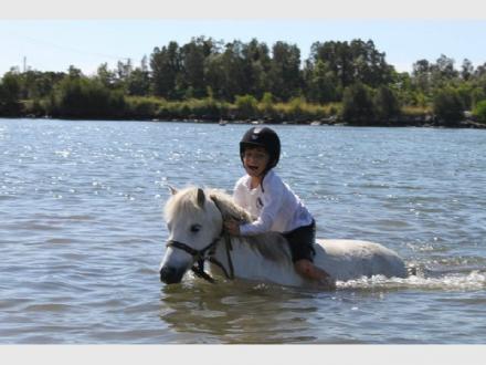 Gold Coast Equestrian Centre Gold Coast Equestrian Centre